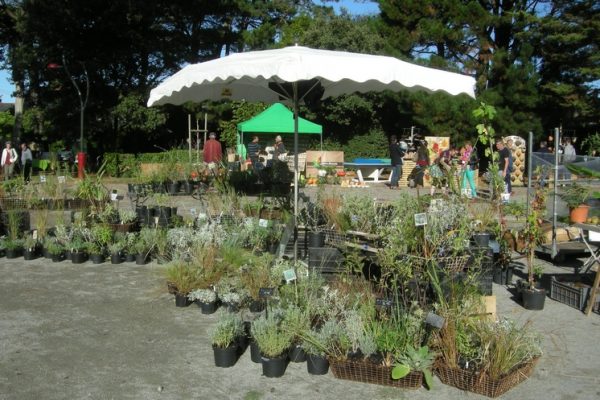 16ème fête des jardins naturels – La Bernerie (Halles)