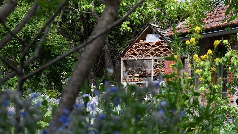 Groupe Jardin Naturel Association Hirondelle