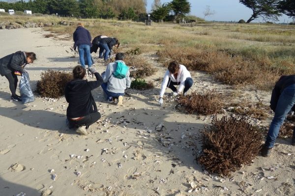 Collecte de déchets XXL – Sur les plages des Moutiers en Retz