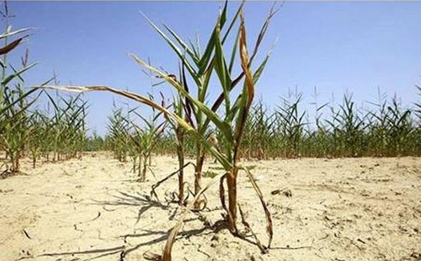 Conférence Réchauffement Climatique