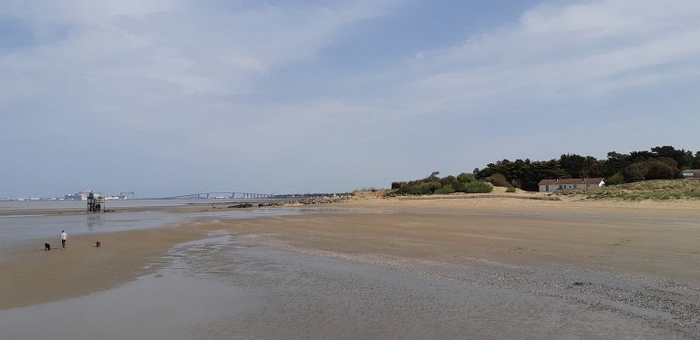 Collecte de déchets (Nettoyage de plage) – Saint Brevin