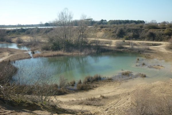 Sortie nature : Évolution naturelle des anciennes carrières