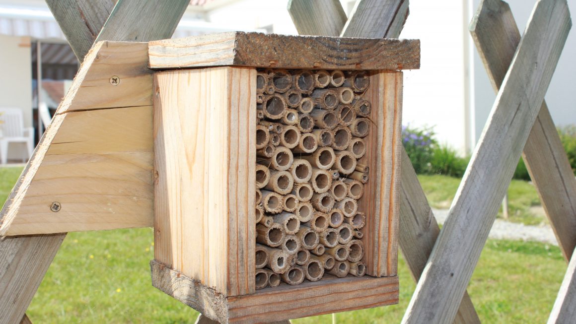 Atelier parents/enfants – Aidons les abeilles sauvages construction d&rsquo;un hôtel à insectes.