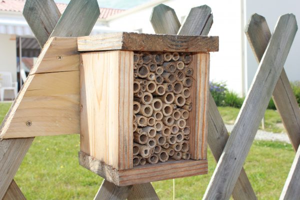 Atelier parents/enfants – Aidons les abeilles sauvages construction d’un hôtel à insectes.