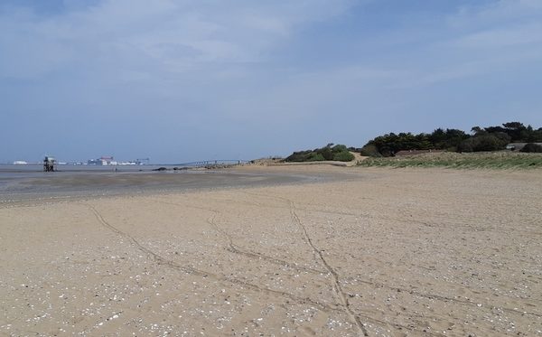 Collecte de déchets au Pointeau – Saint Brevin