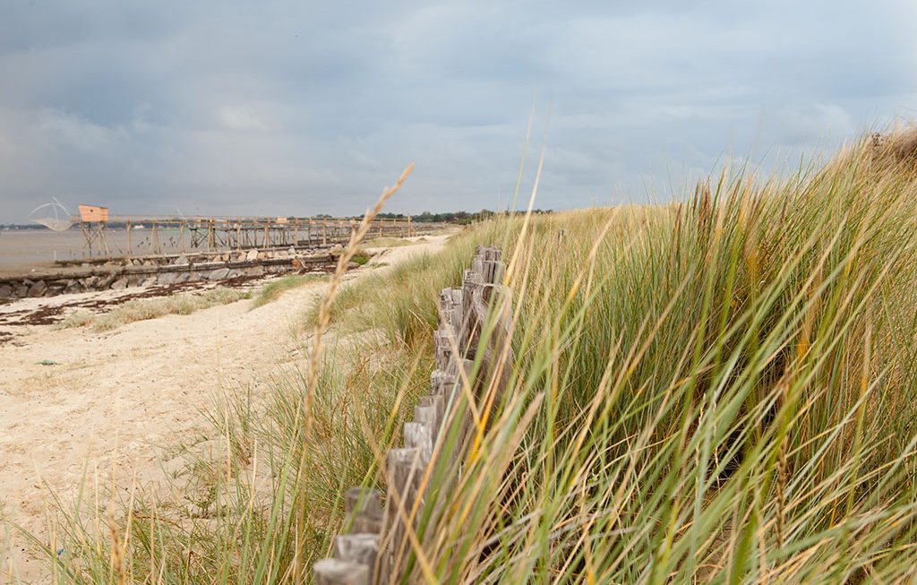 Sortie nature : Le marais de Lyarne – Gratuit