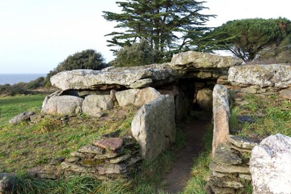 Sortie nature : Les landes de Monval