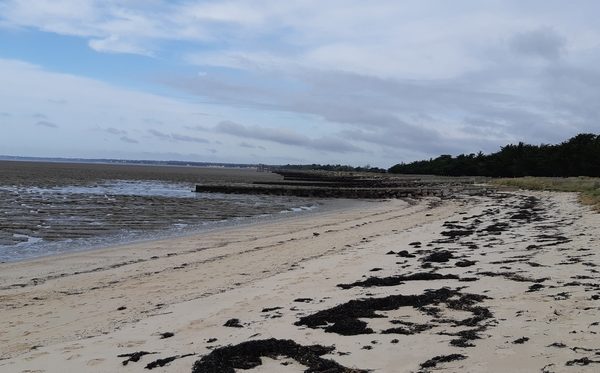 Collecte de déchets Port du Collet – Les Moutiers en Retz