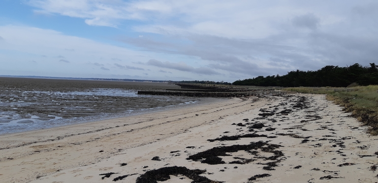 Collecte de déchets Port du Collet – Les Moutiers en Retz