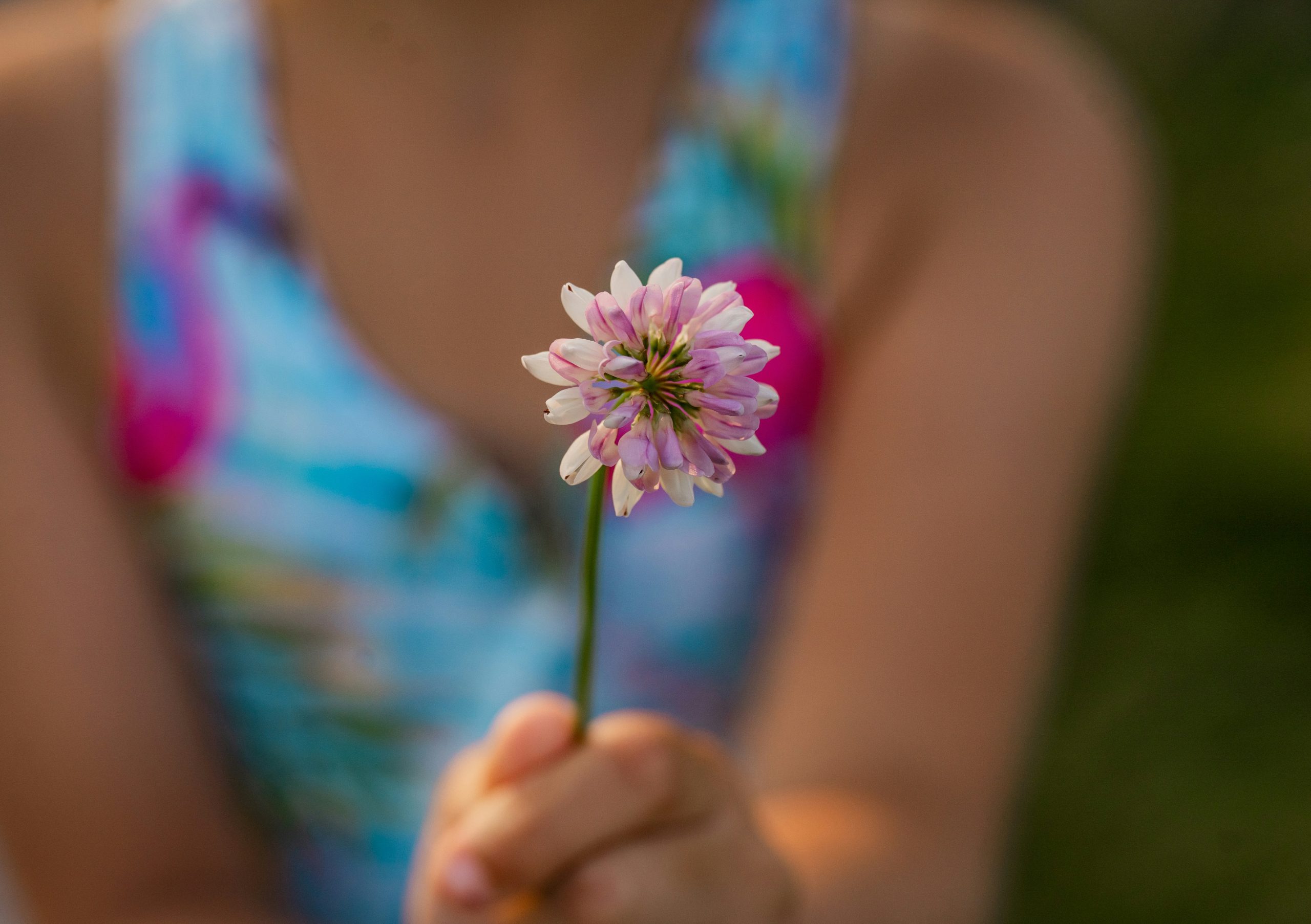 La botanique pour petits et grands (spéciale Parents-enfants)